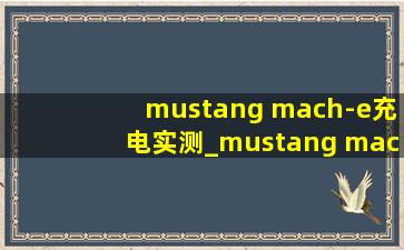mustang mach-e充电实测_mustang mach-e充电